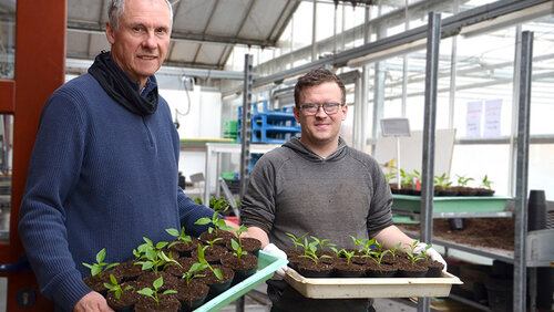 Hermann Wessels und Jonas Kreuznach mit Kisten voller Paprikajungpflanzen