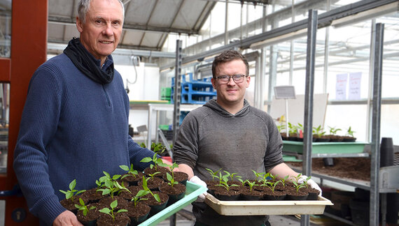 Hermann Wessels und Jonas Kreuznach mit Kisten voller Paprikajungpflanzen
